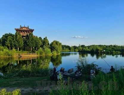麻豆国产91精品国偷产-国内优质影视内容分析与欣赏——聚焦麻豆国度的精品叙事与文化内涵